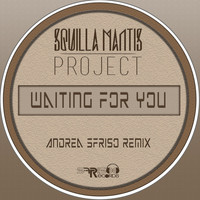 Squilla Mantis Project - Waiting for You (Andrea Sfriso Remix)