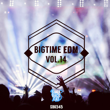 Various Artists - Bigtime EDM, Vol. 14