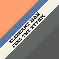 Elephant Man - Feel the Rythm