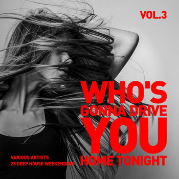 Various Artists - Who's Gonna Drive You Home Tonight (25 Deep-House Weekenders) Vol. 3