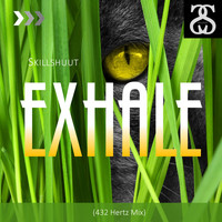 Skillshuut - Exhale (432 Hertz Mix)