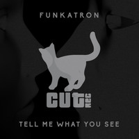 Funkatron - Tell Me What You See