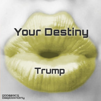 Trump - Your Destiny