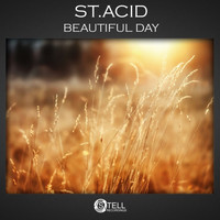 St. Acid - Beautiful Day