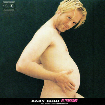 Babybird - Fatherhood