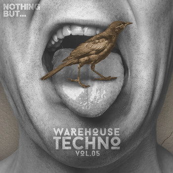 Various Artists - Nothing But... Warehouse Techno, Vol. 5