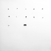 Motion - Split Series #11
