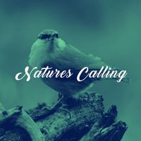 Rain Sounds Nature Collection, White! Noise and Rainfall - Natures Calling