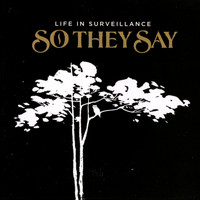 So They Say - Life In Surveillance