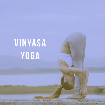 Deep Sleep, Kundalini: Yoga, Meditation, Relaxation and Zen Music Garden - Vinyasa Yoga