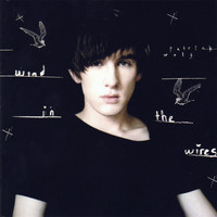 Patrick Wolf - Wind in the Wires