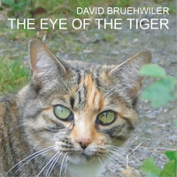 David Bruehwiler - The Eye of the Tiger