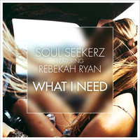 Soul Seekerz - What I Need (Mixed)
