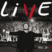 Patrick Bruel - Live 2014