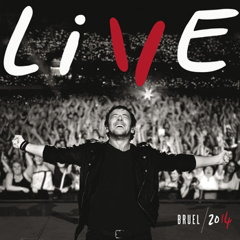 Patrick Bruel - Live 2014