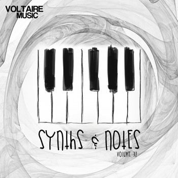 Various Artists - Synths And Notes 32