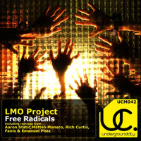 LMO Project - Free Radicals