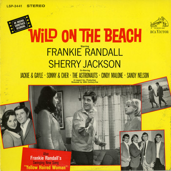 Various Artists - Wild On the Beach (Original Motion Picture Soundtrack)