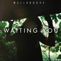 WellGroove - Waiting You