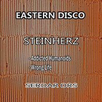 Serdar Ors - Steinherz