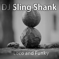 DJ Sling Shank - Loco and Funky
