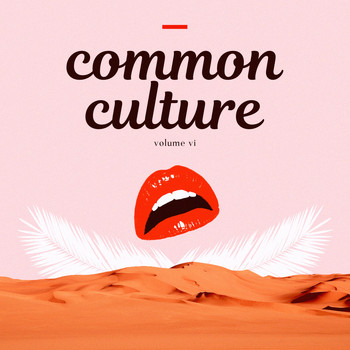Connor Franta - Common Culture, Vol. VI