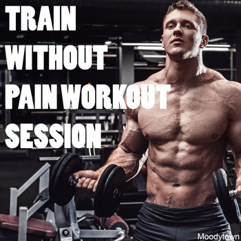Various Artists - Train Without Pain: Workout Session