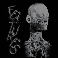 Features - X-Features (Explicit)