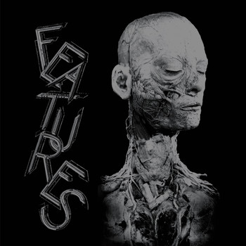 Features - X-Features (Explicit)