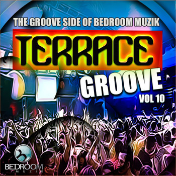 Various Artists - Terrace Groove, Vol. 10