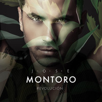 Jose Montoro - Evolución