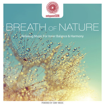 Davy Jones - entspanntSEIN - Breath of Nature (Relaxing Music for Inner Balance & Harmony)