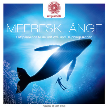 Davy Jones - entspanntSEIN - Meeresklänge (Entspannende Musik mit Wal- und Delphingesängen)