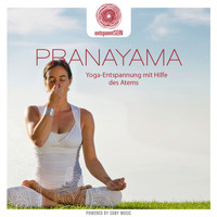 Davy Jones - entspanntSEIN - Pranayama (Yoga-Entspannung mit Hilfe des Atems)