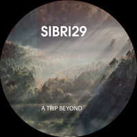 Sibri29 - A Trip Beyond