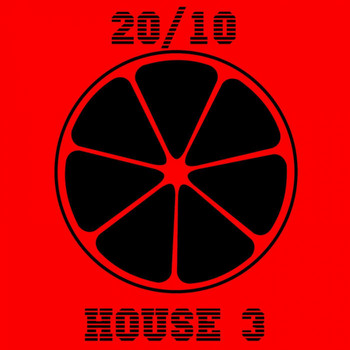 Various Artists - 20/10 House, Vol. 3