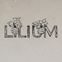 Lilium - Disappear