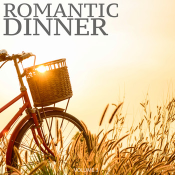 Various Artists - Romantic Dinner, Vol. 3 (Selection Of Finest Electronic Jazz)