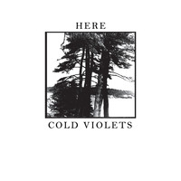 Cold Violets - Here