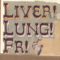 Frightened Rabbit - Quietly Now! Liver! Lung! Fr!