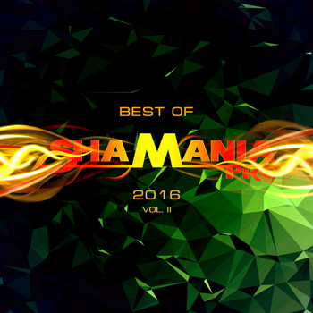 Various Artists - Best Of Shamania Pro 2016, Vol. 2