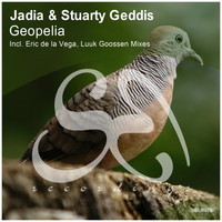 Jadia & Stuarty Geddis - Geopelia