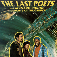 The Last Poets - Delights of the Garden