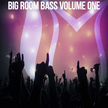 Various Artists - Big Room Bass, Vol. 1