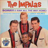 The Impalas - Sorry (I Ran All the Way Home)