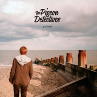 The Pigeon Detectives - Animal