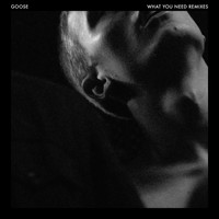 Goose - What You Need (Remixes)