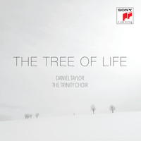 Daniel Taylor - The Tree of Life