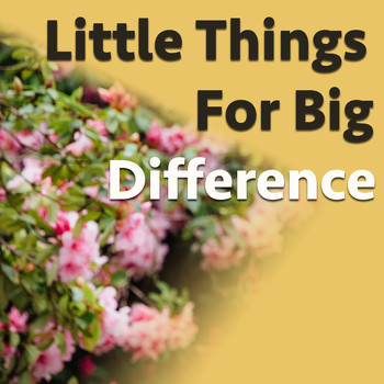 Various Artists - Little Things For Big Difference