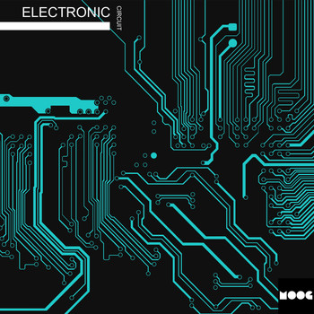 Various Artists - Electronic Circuit